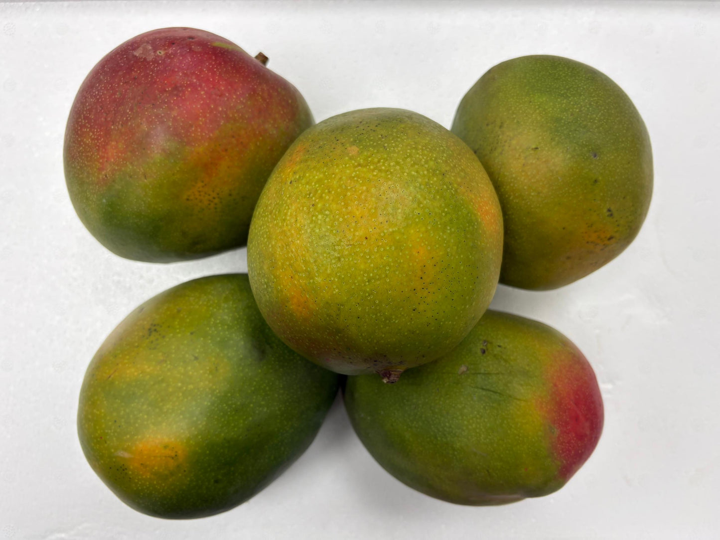 Grafted Guinean Mango (about 1kg)
