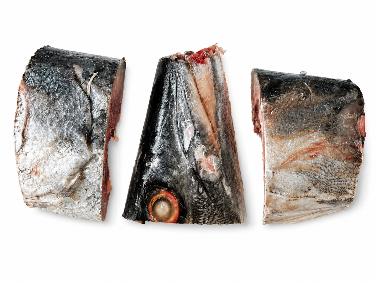 Guinean Wild-Caught Barracuda Head (frozen, about 1kg)
