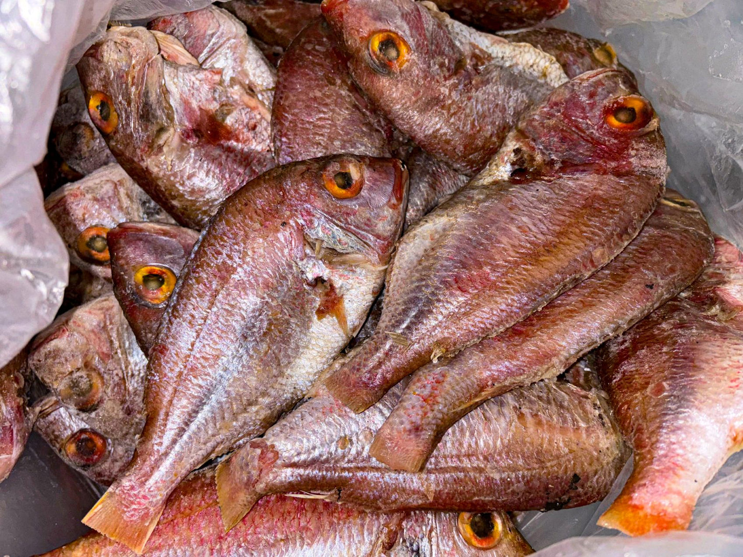 Fresh Sea Bream (cleaned, scaled, frozen, about 1kg)
