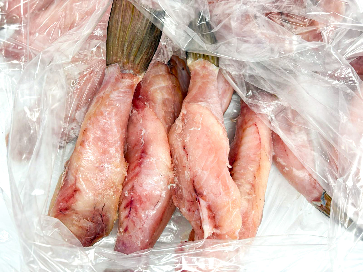 Monkfish (cleaned, scaled, frozen, about 1kg)