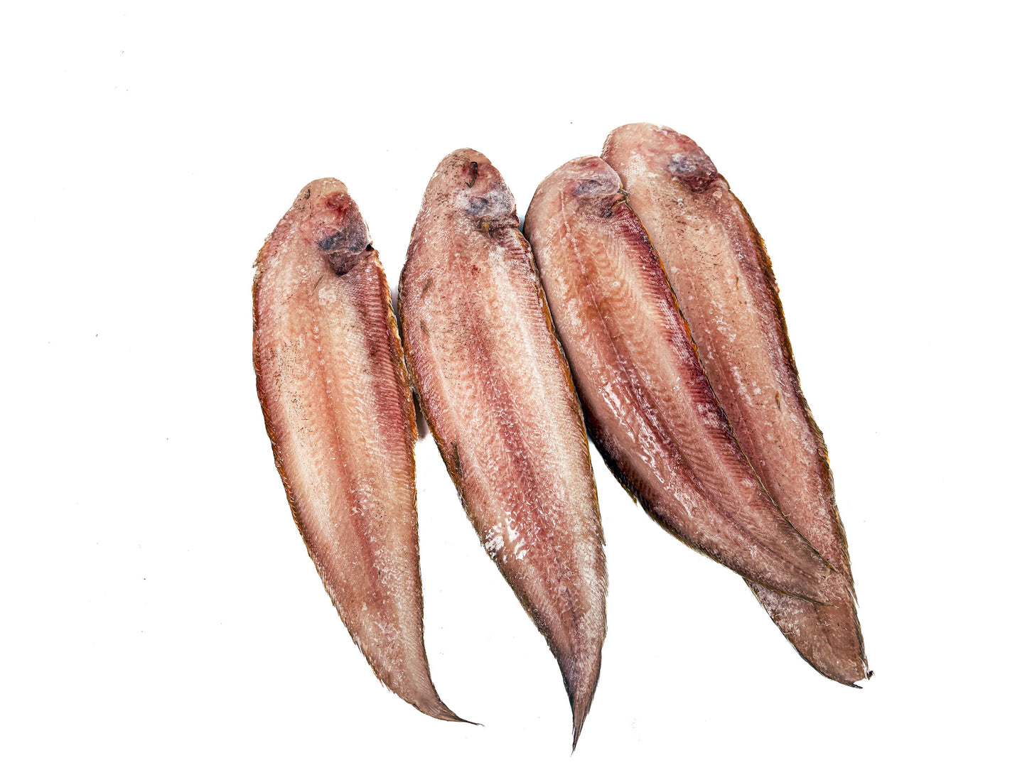 Wild-Caught Sole (cleaned, scaled, frozen, about 1kg)