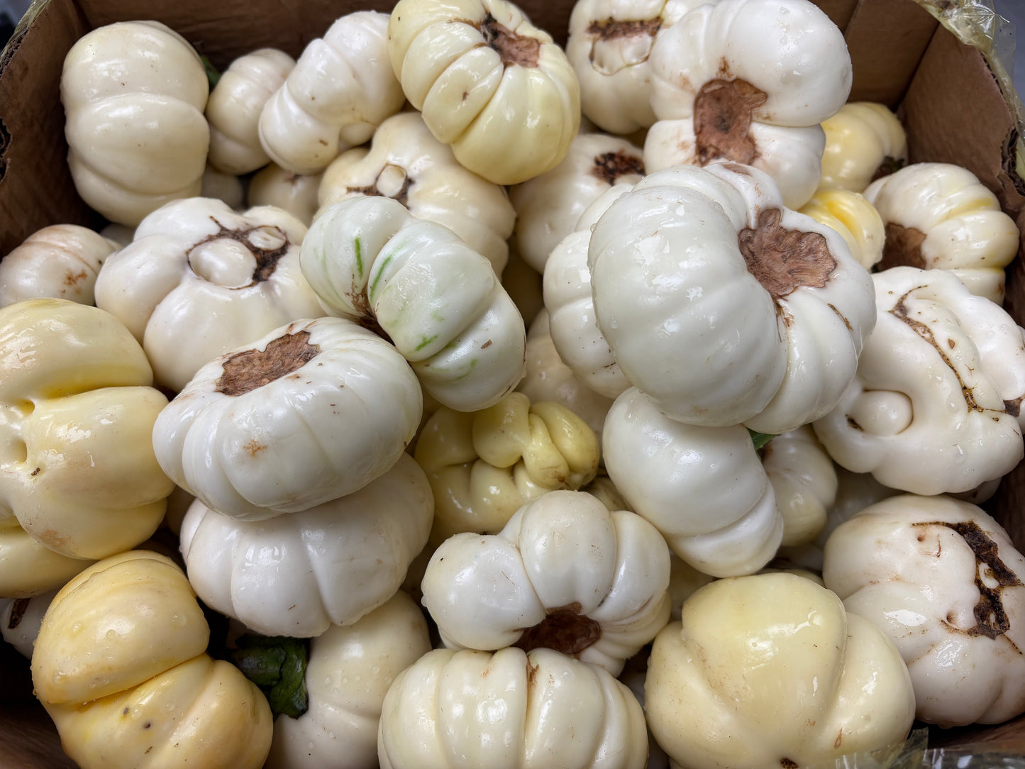 Aubergines de Guinée (1 kg)