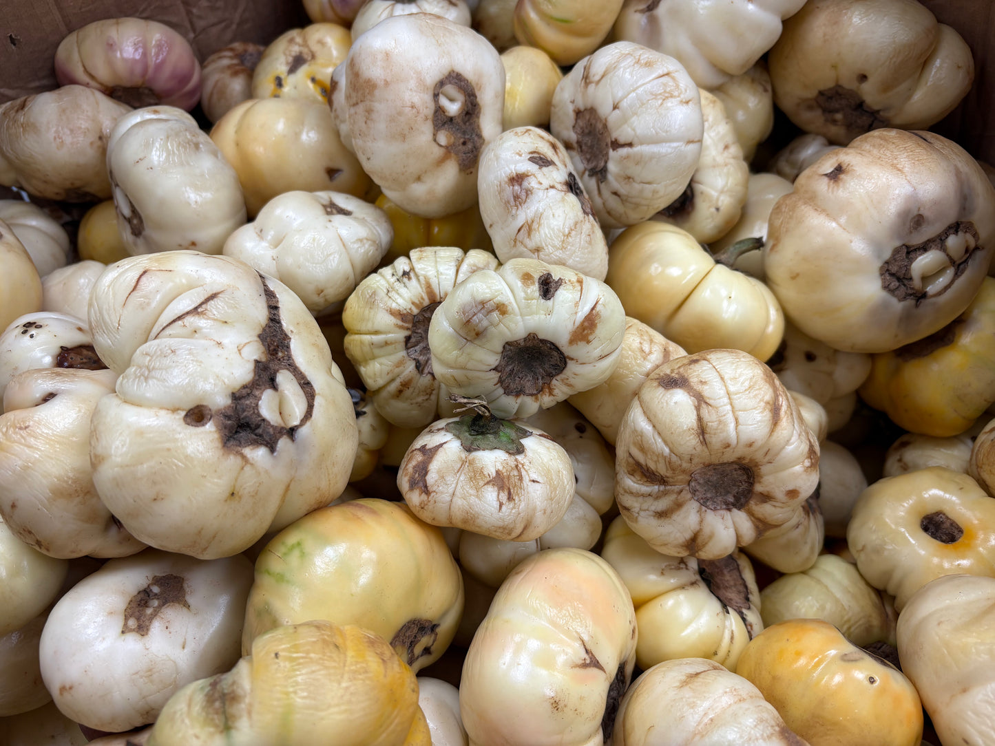Aubergines de Guinée – Imparfaites (1 kg)