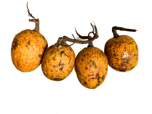 Maad (Saba senegalensis)(about 1kg)