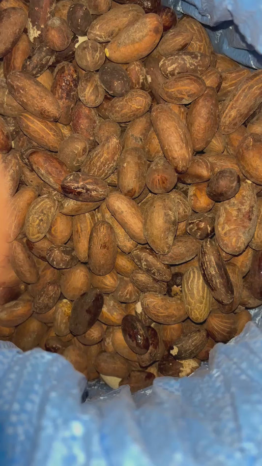Bitter Cola Nuts (250g)