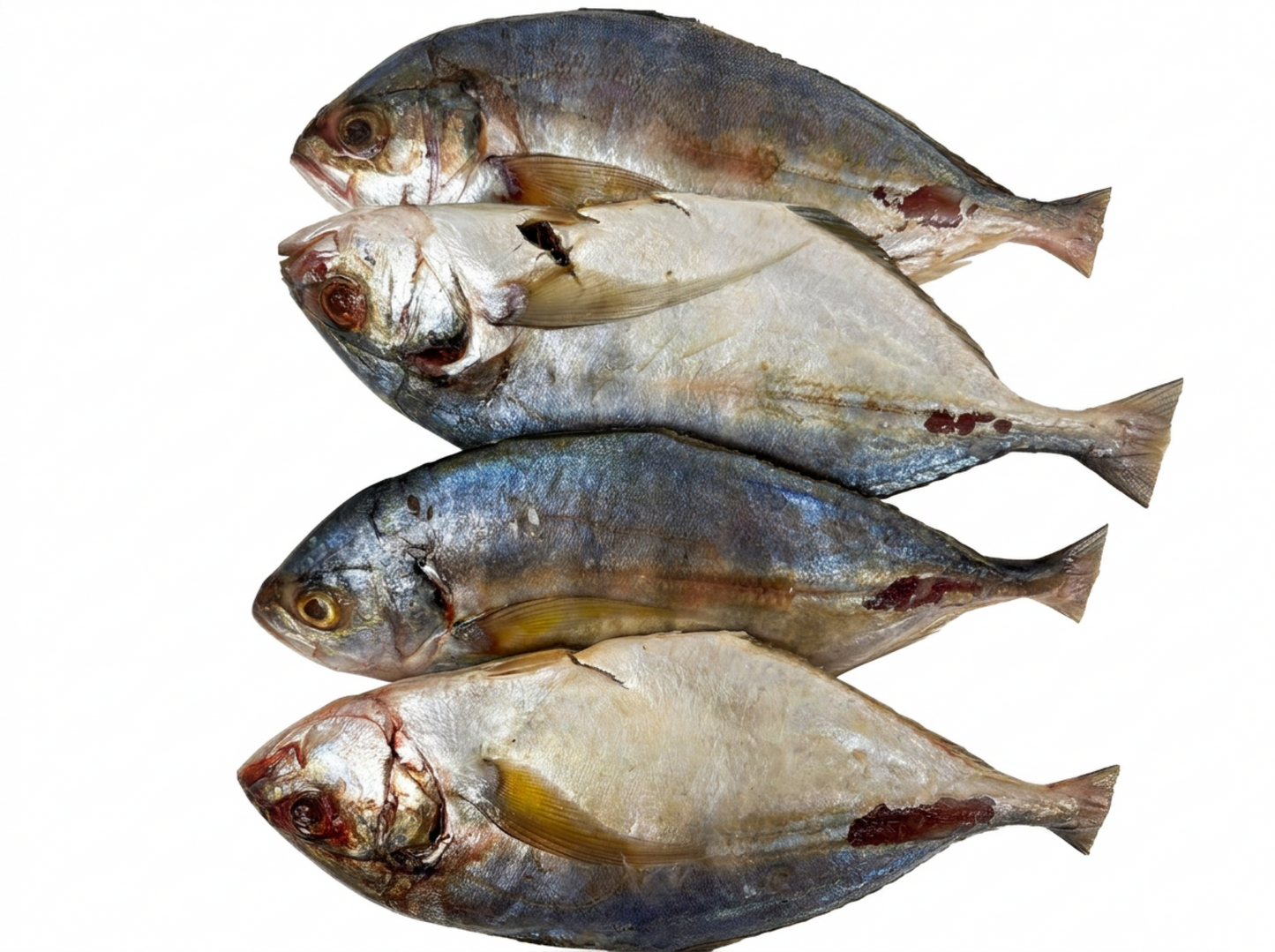 Guinean Wild-Caught Sapatero (Moonfish)(cleaned, scaled, frozen, about 1kg)